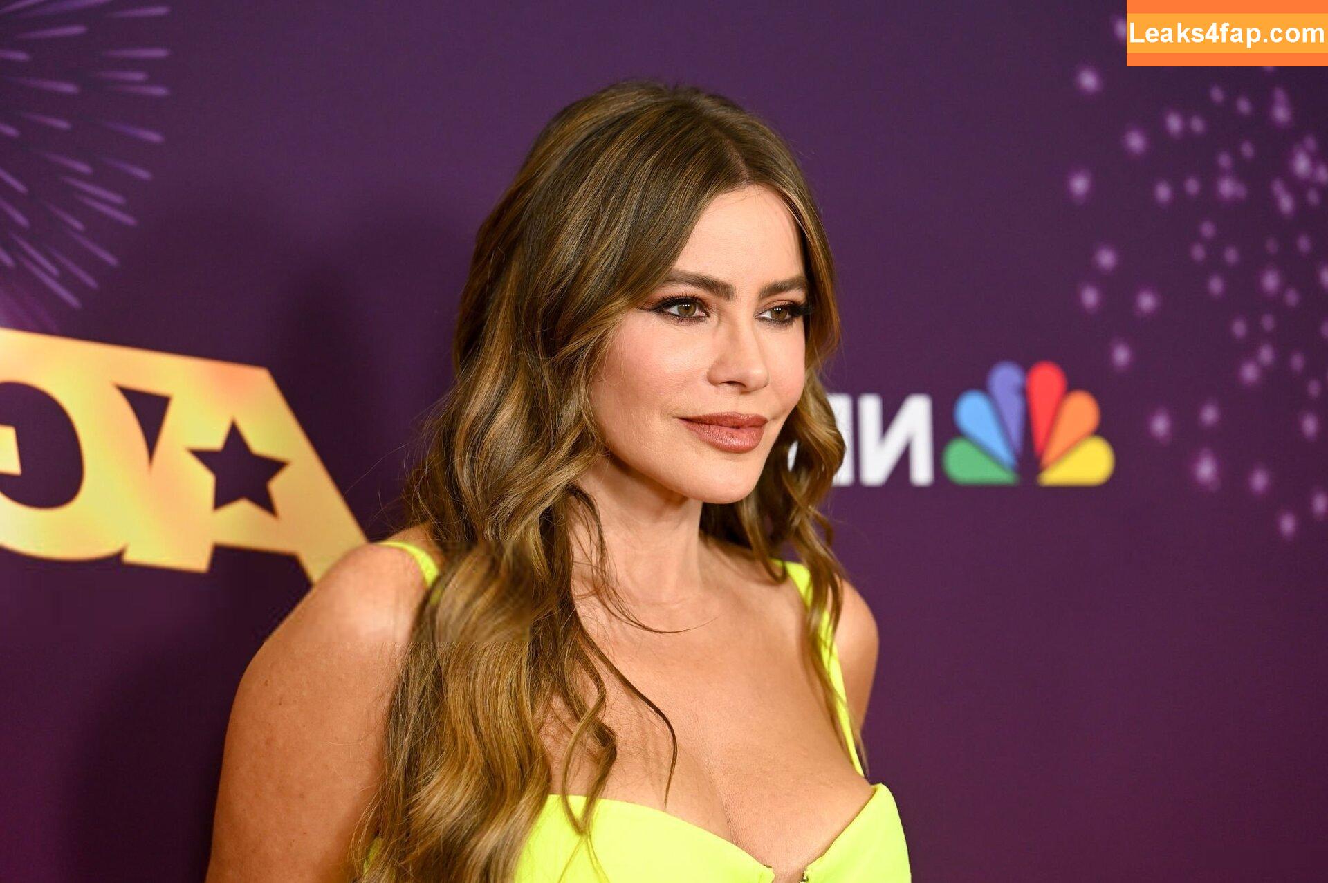 Sofia Vergara / sofiavergara leaked photo photo #2056