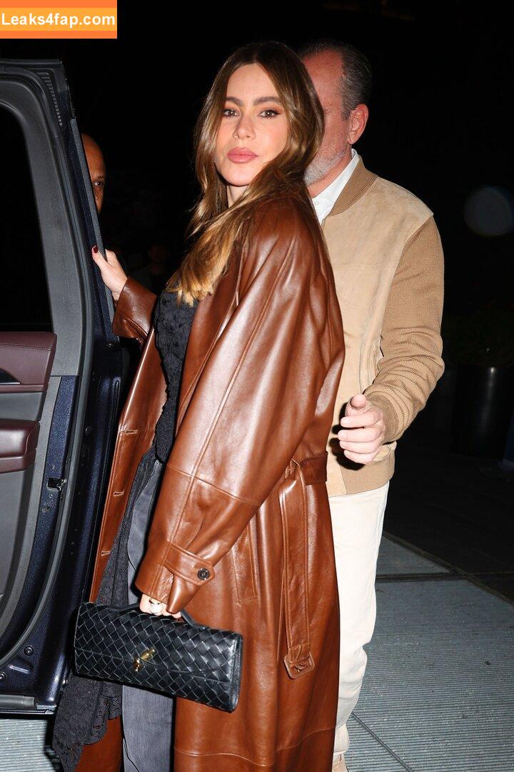 Sofia Vergara / sofiavergara leaked photo photo #2078
