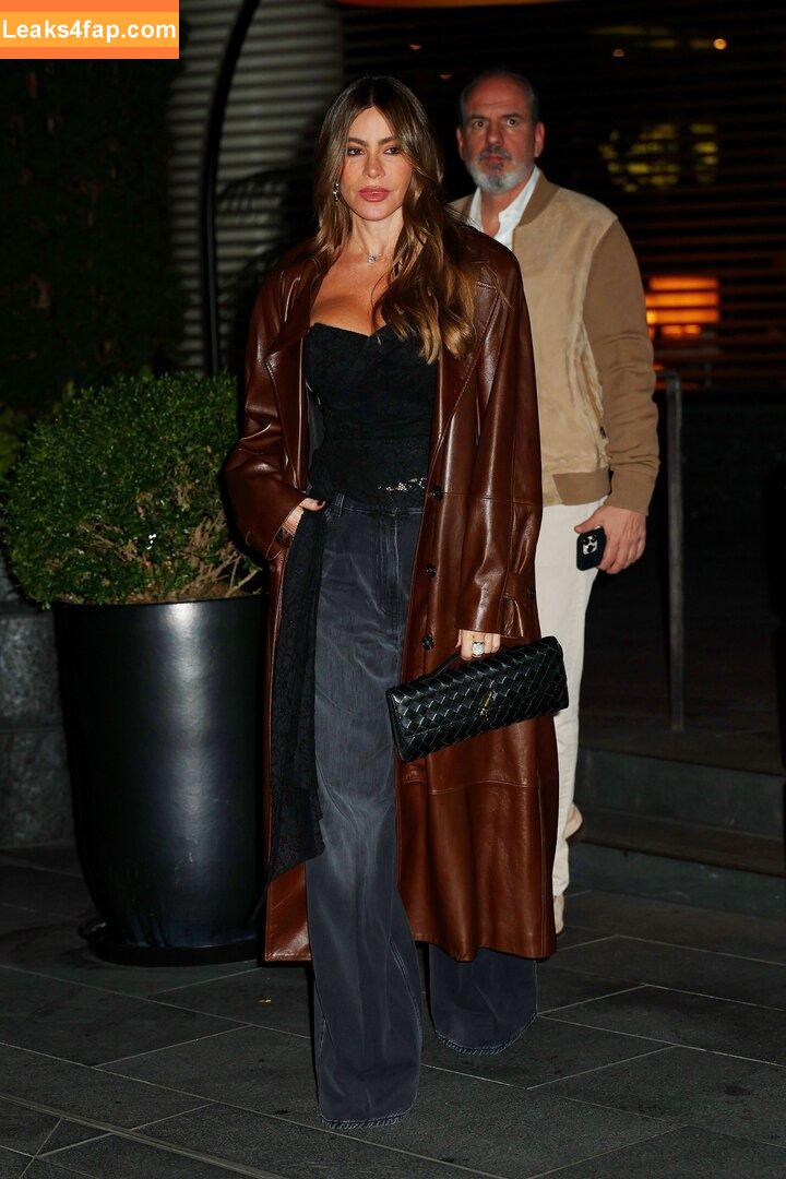 Sofia Vergara / sofiavergara leaked photo photo #2080