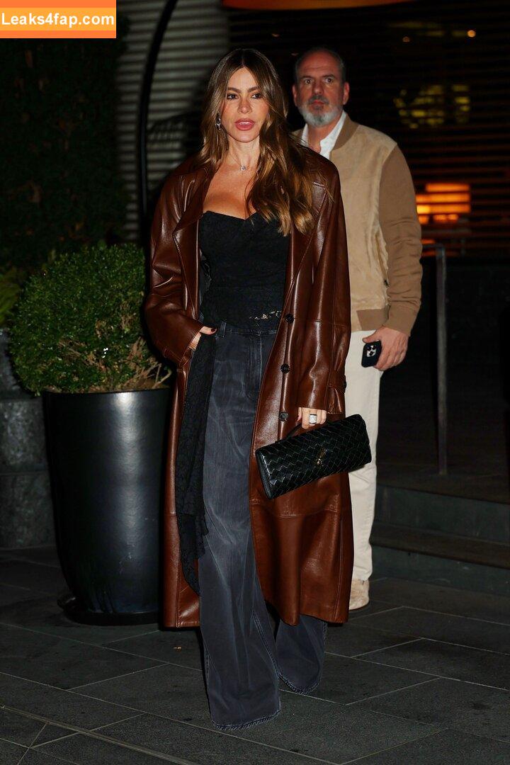 Sofia Vergara / sofiavergara leaked photo photo #2081