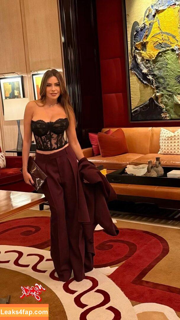 Sofia Vergara / sofiavergara leaked photo photo #2091