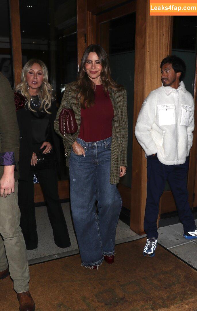 Sofia Vergara / sofiavergara leaked photo photo #2125