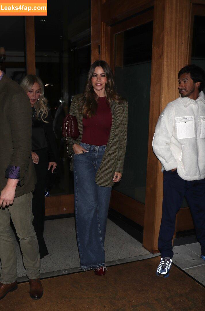 Sofia Vergara / sofiavergara leaked photo photo #2126