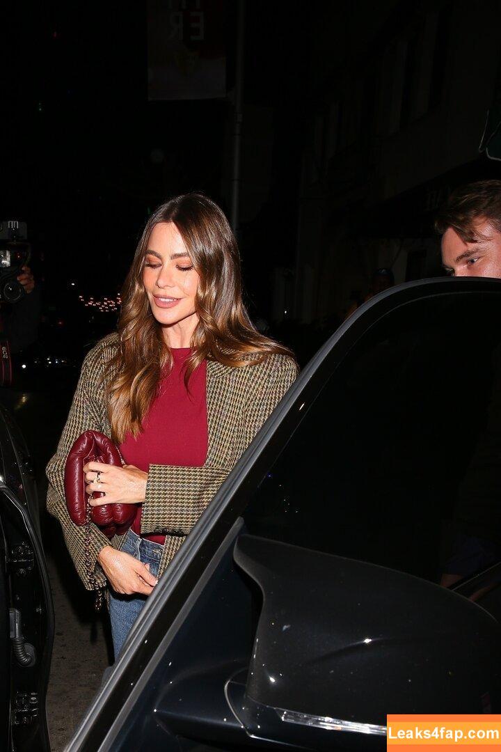 Sofia Vergara / sofiavergara leaked photo photo #2155
