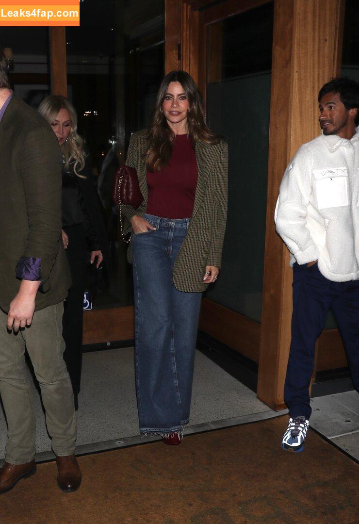 Sofia Vergara / sofiavergara leaked photo photo #2161