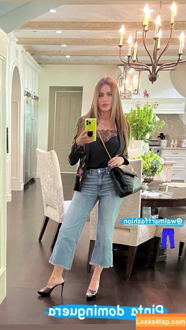 Sofia Vergara / sofiavergara leaked photo photo #2178