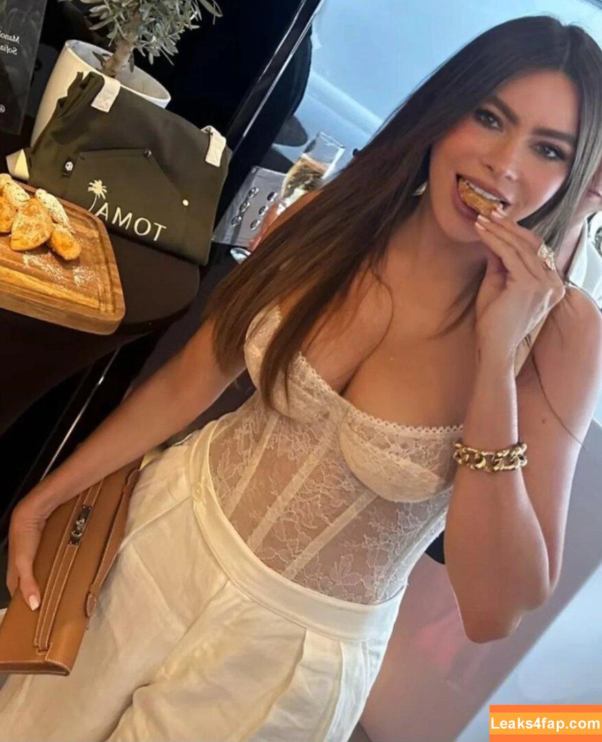 Sofia Vergara / sofiavergara слитое фото фото #2417