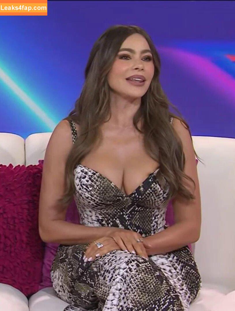 Sofia Vergara / sofiavergara leaked photo photo #2421
