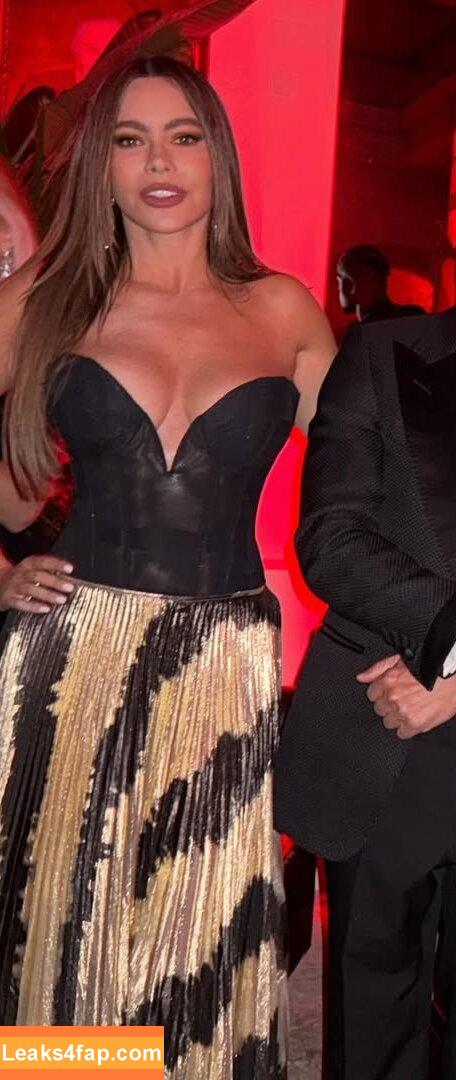 Sofia Vergara / sofiavergara leaked photo photo #2431
