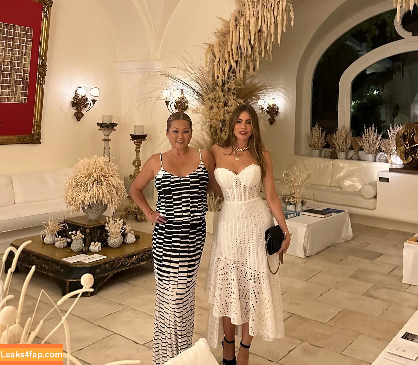 Sofia Vergara / sofiavergara / vergarasofia leaked photo photo #2461