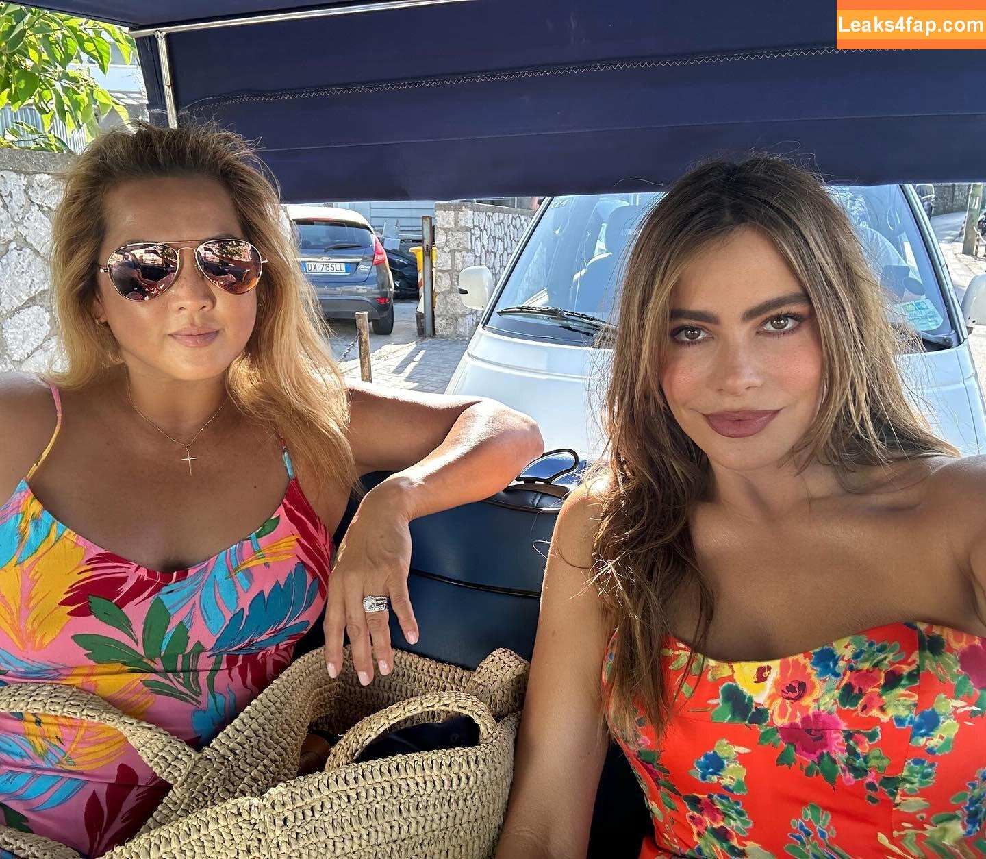 Sofia Vergara / sofiavergara / vergarasofia leaked photo photo #2462