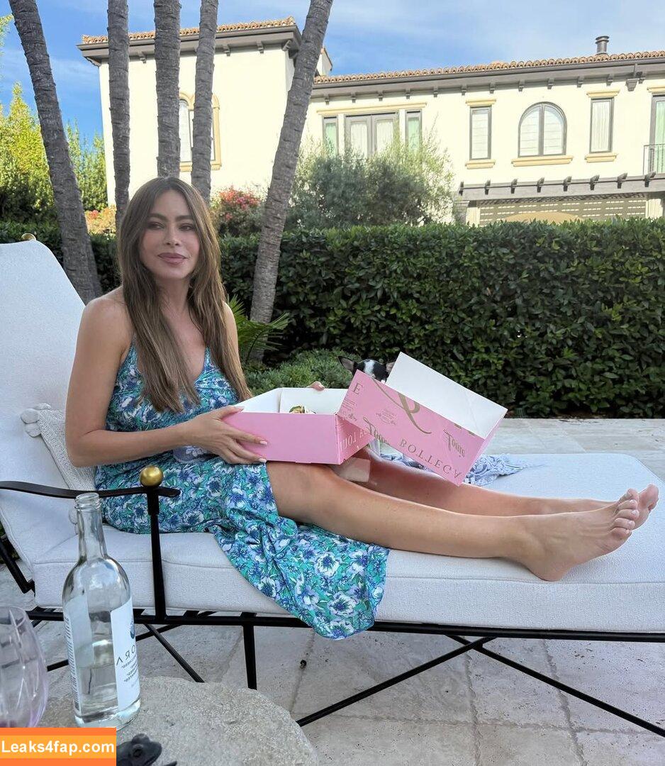 Sofia Vergara / sofiavergara / vergarasofia leaked photo photo #2464