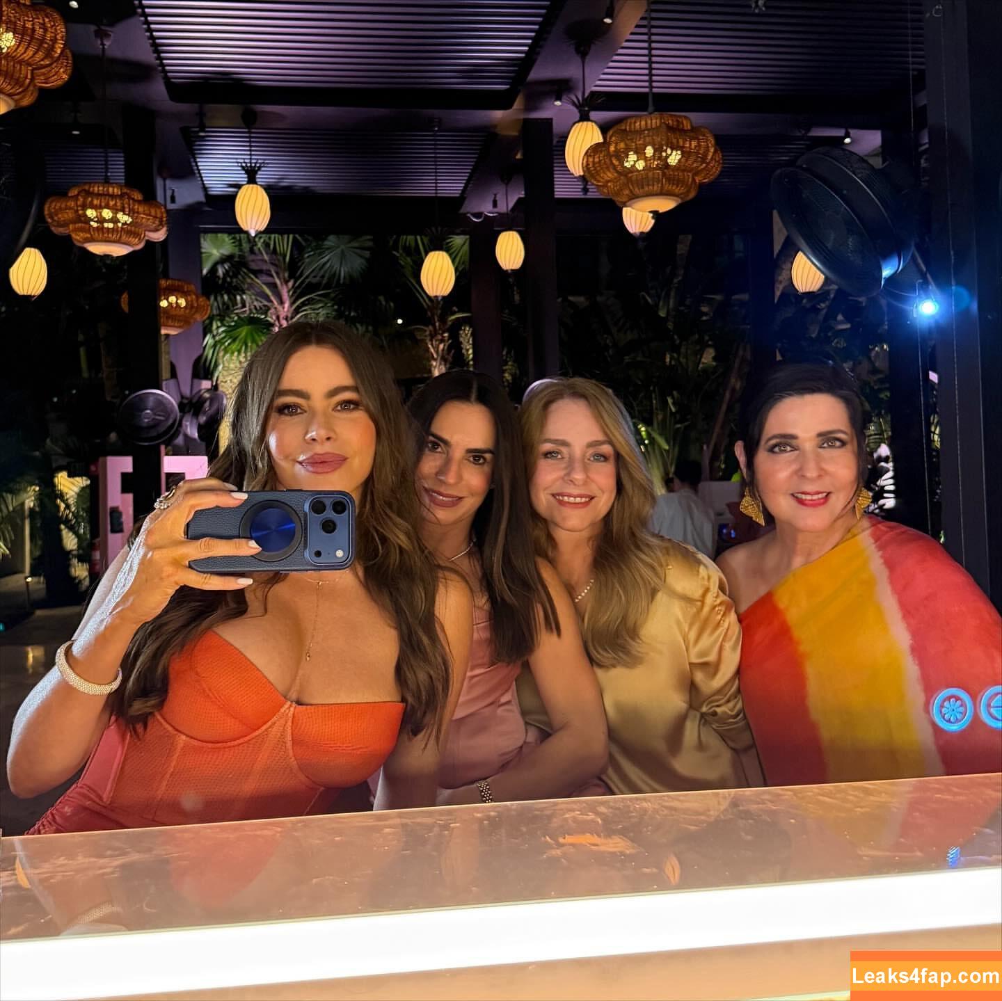 Sofia Vergara / sofiavergara / vergarasofia leaked photo photo #2499