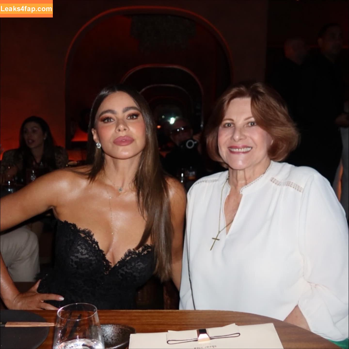 Sofia Vergara / sofiavergara / vergarasofia leaked photo photo #2501