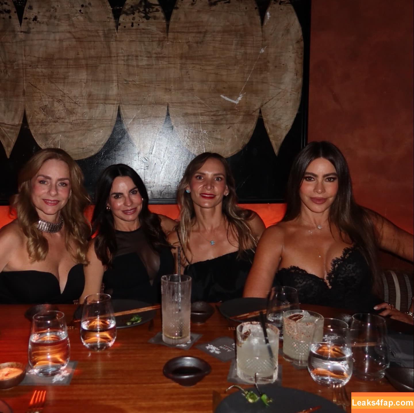 Sofia Vergara / sofiavergara / vergarasofia leaked photo photo #2504