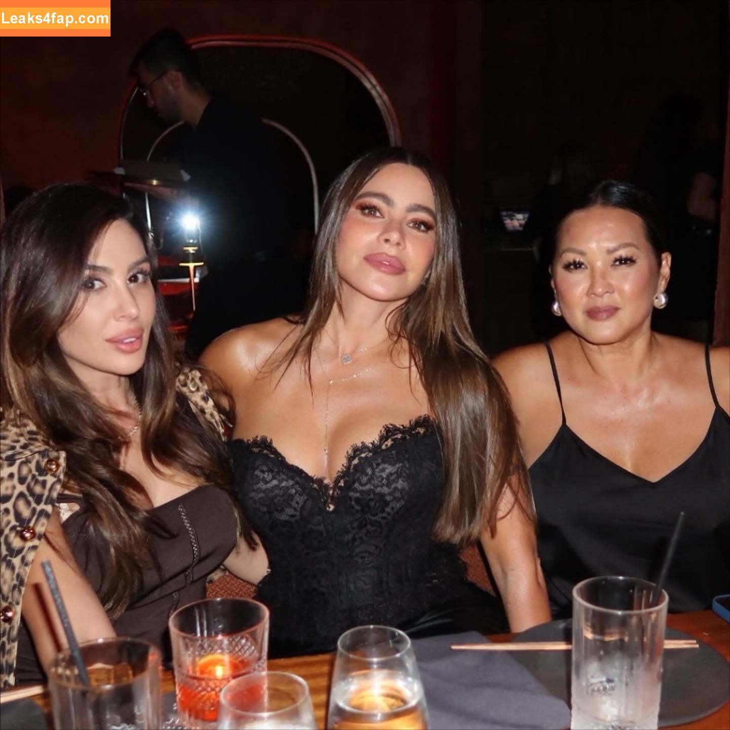 Sofia Vergara / sofiavergara / vergarasofia leaked photo photo #2506