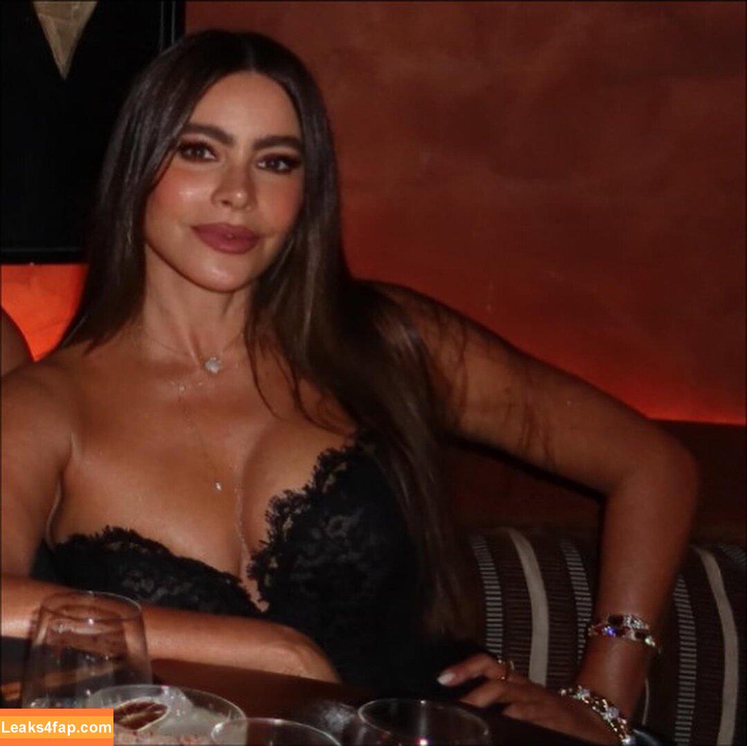 Sofia Vergara / sofiavergara / vergarasofia leaked photo photo #2509