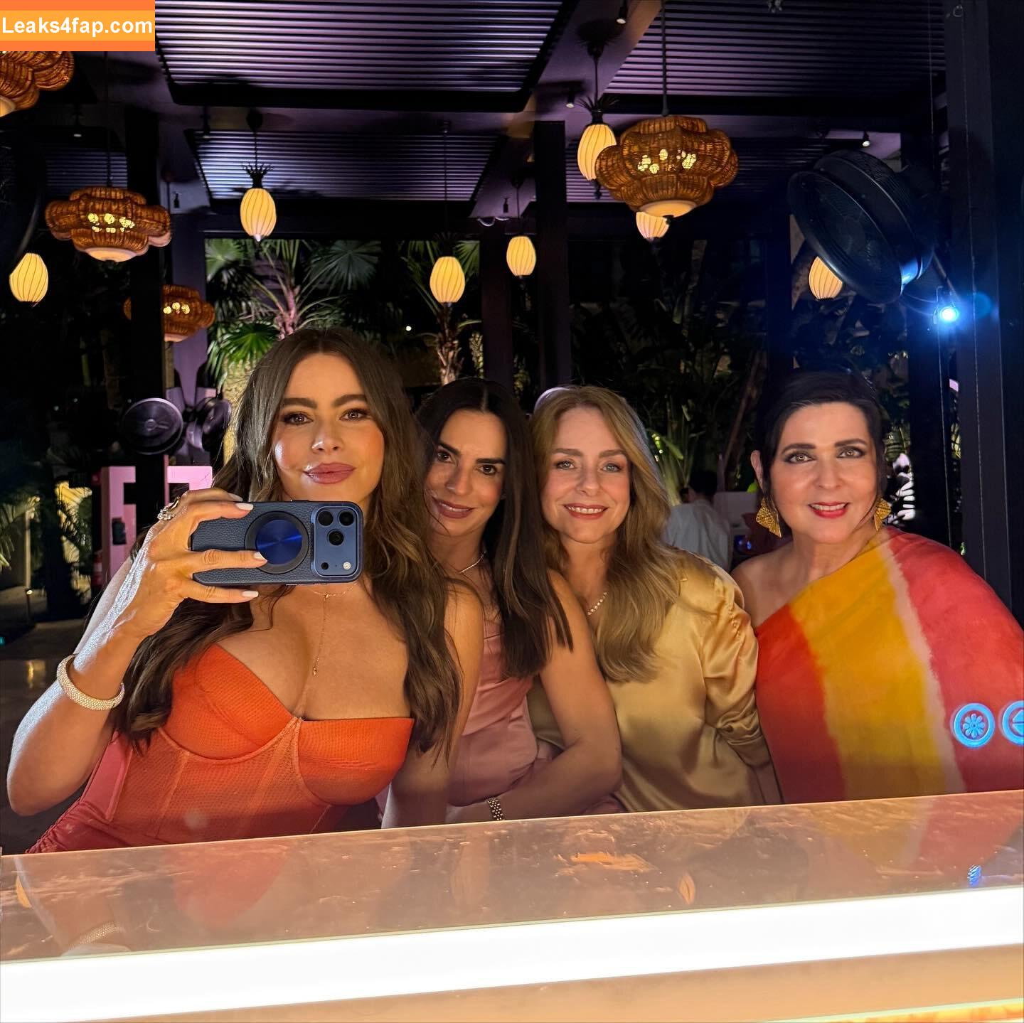 Sofia Vergara / sofiavergara / vergarasofia leaked photo photo #2534