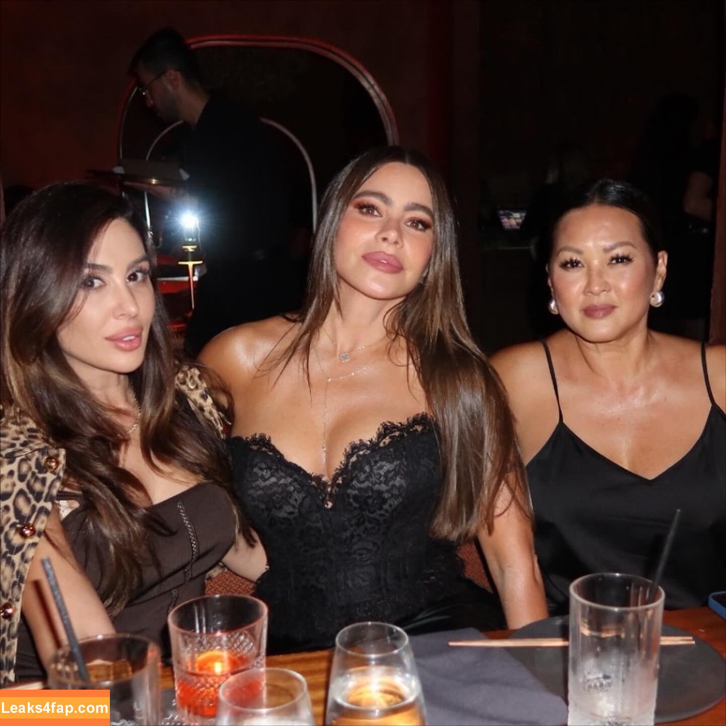 Sofia Vergara / sofiavergara / vergarasofia leaked photo photo #2542