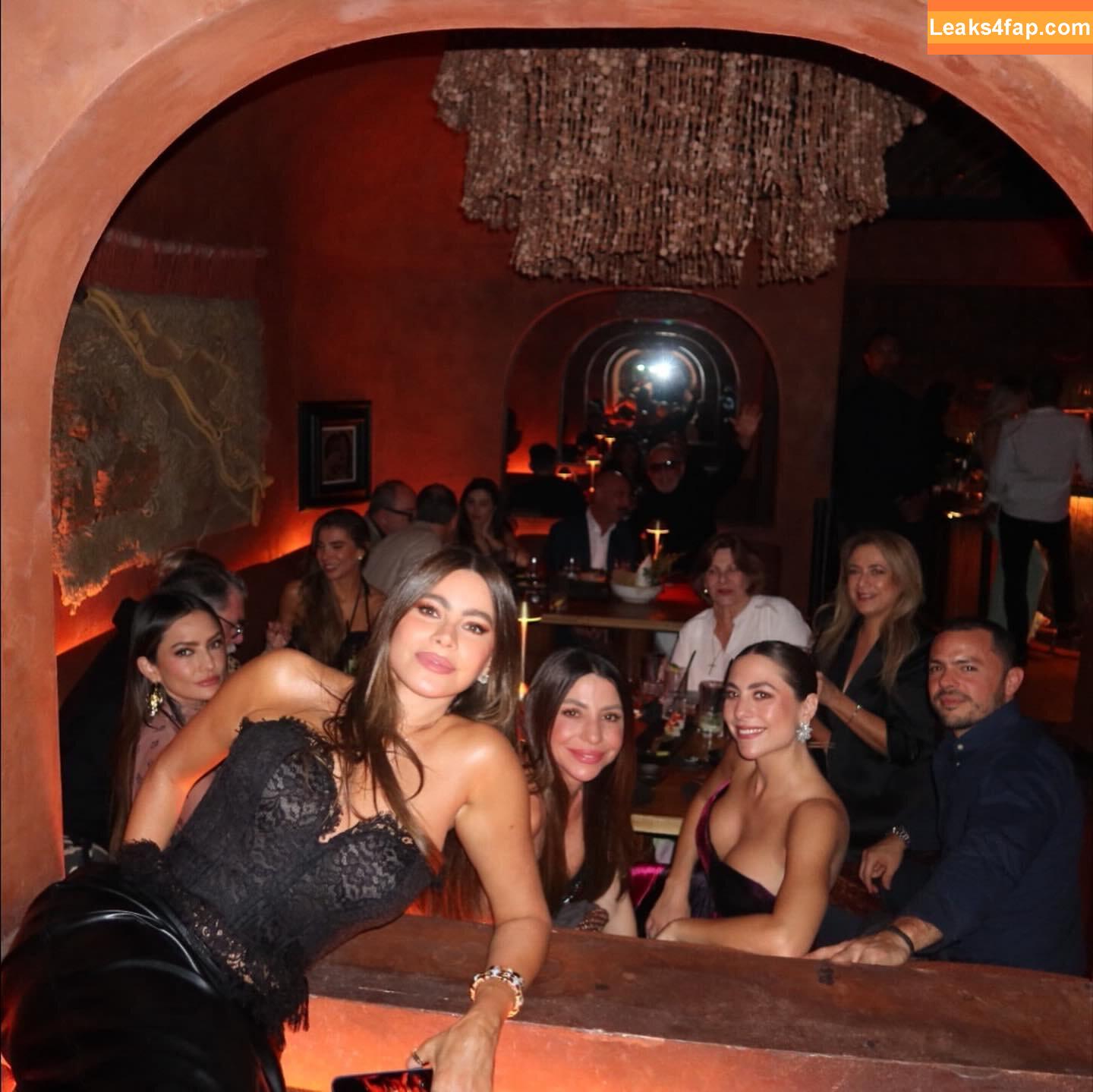 Sofia Vergara / sofiavergara / vergarasofia leaked photo photo #2543