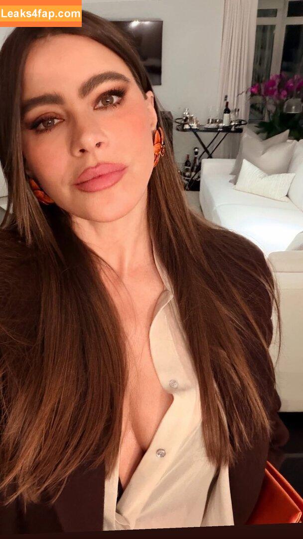 Sofia Vergara / sofiavergara leaked photo photo #2546