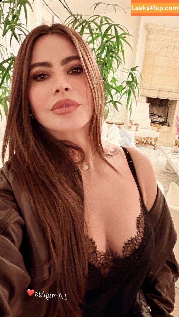 Sofia Vergara / sofiavergara leaked photo photo #2559