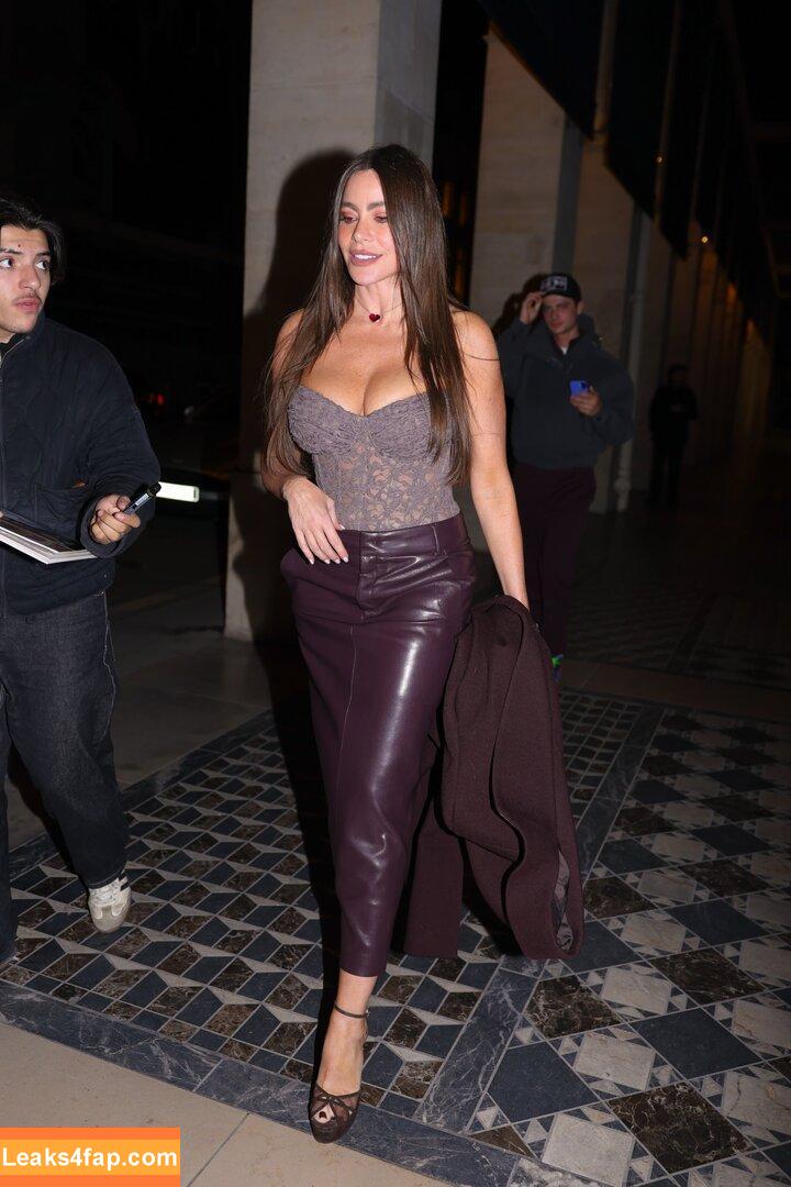 Sofia Vergara / sofiavergara / vergarasofia слитое фото фото #2567