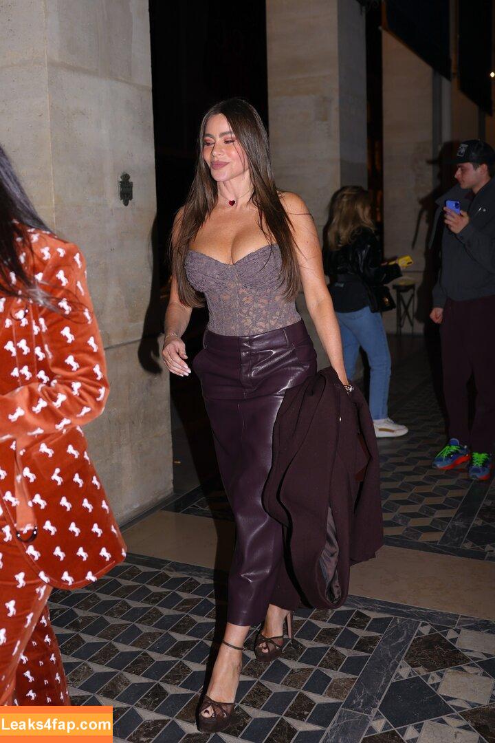 Sofia Vergara / sofiavergara / vergarasofia слитое фото фото #2581