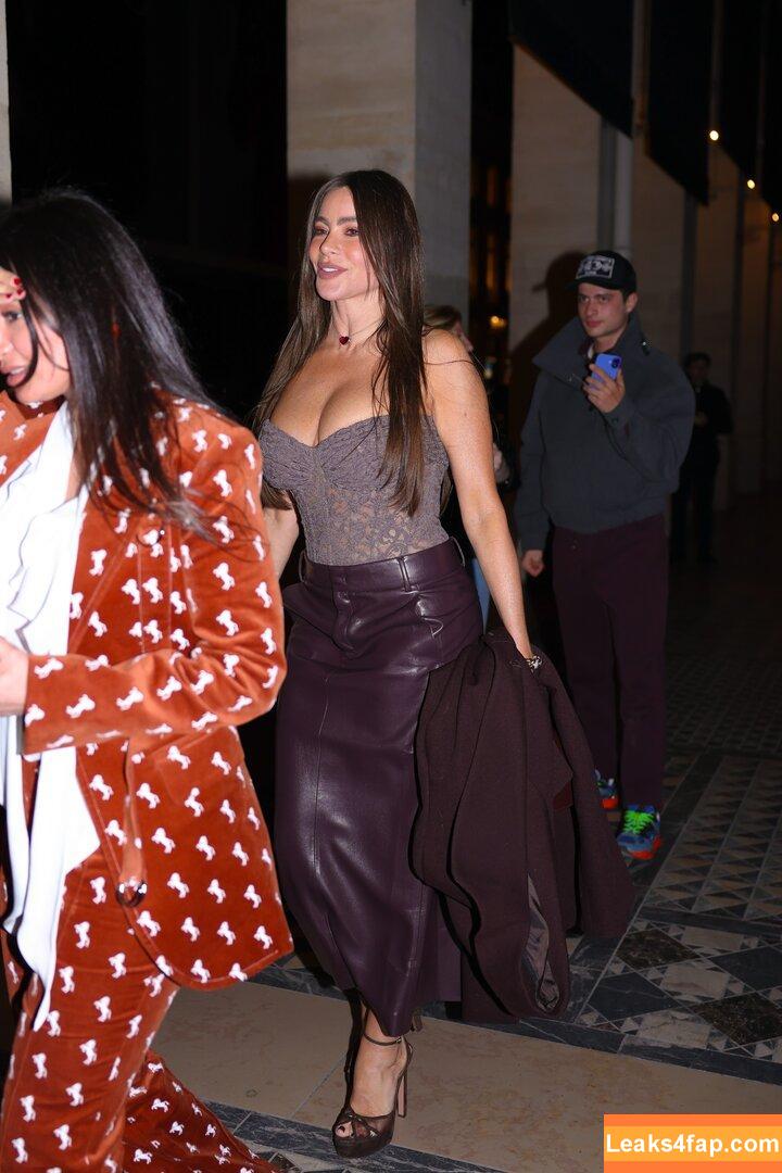 Sofia Vergara / sofiavergara / vergarasofia слитое фото фото #2584