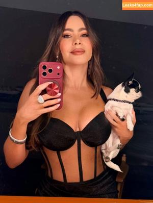 Sofia Vergara photo #2590