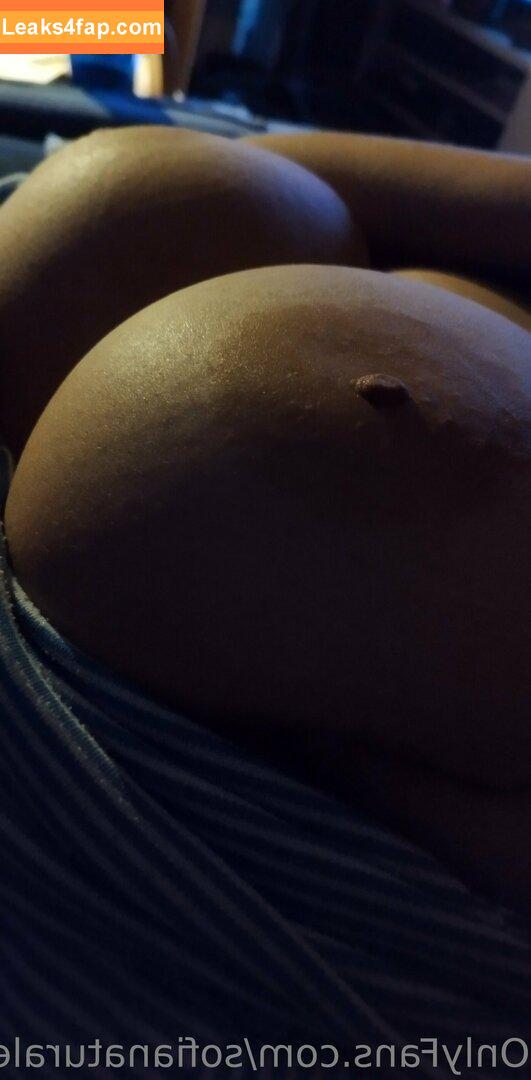 sofianaturales / SofiaNaturalesOnly leaked photo photo #0060