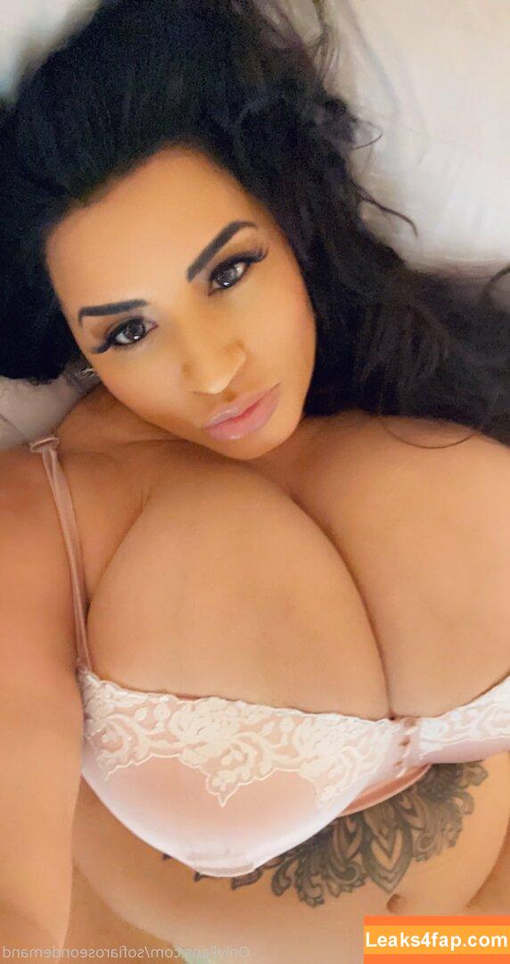 sofiaroseondemand / sophiarose92 слитое фото фото #0006