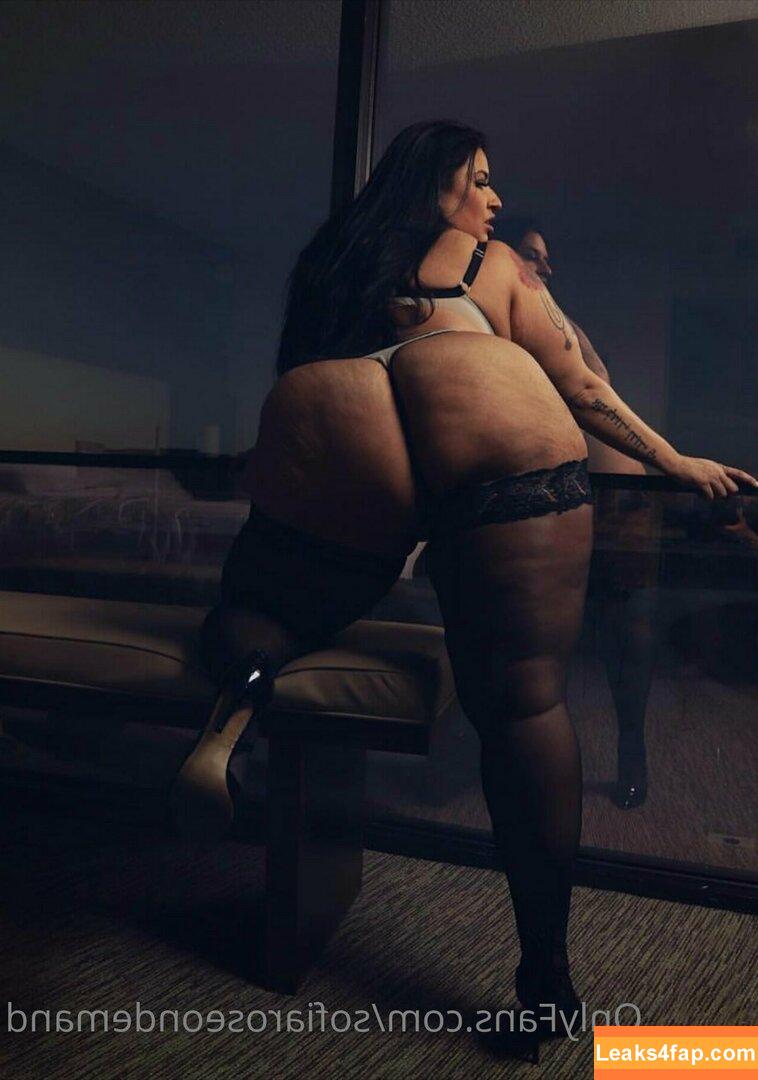 sofiaroseondemand / sophiarose92 слитое фото фото #0062