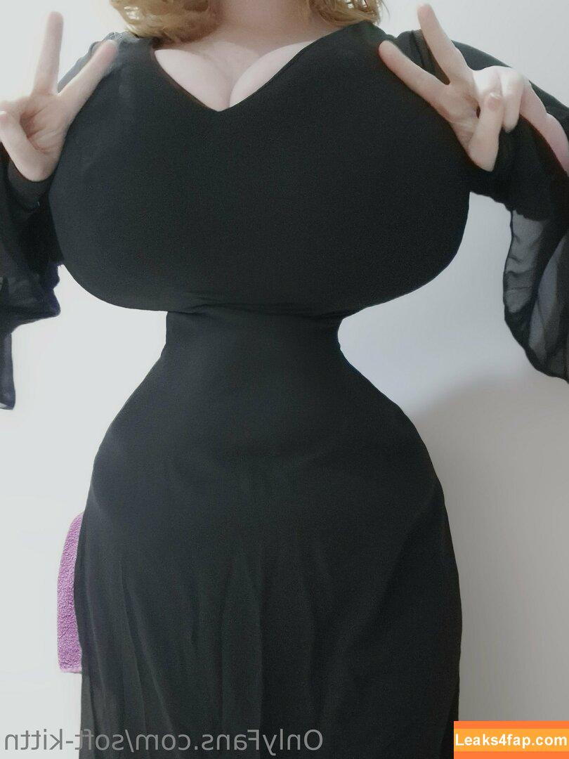 soft-kittn / Soft.kittn / soft_kittn leaked photo photo #0015