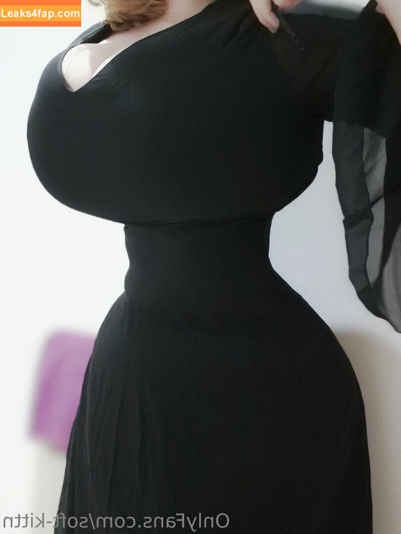 soft-kittn / Soft.kittn / soft_kittn leaked photo photo #0016