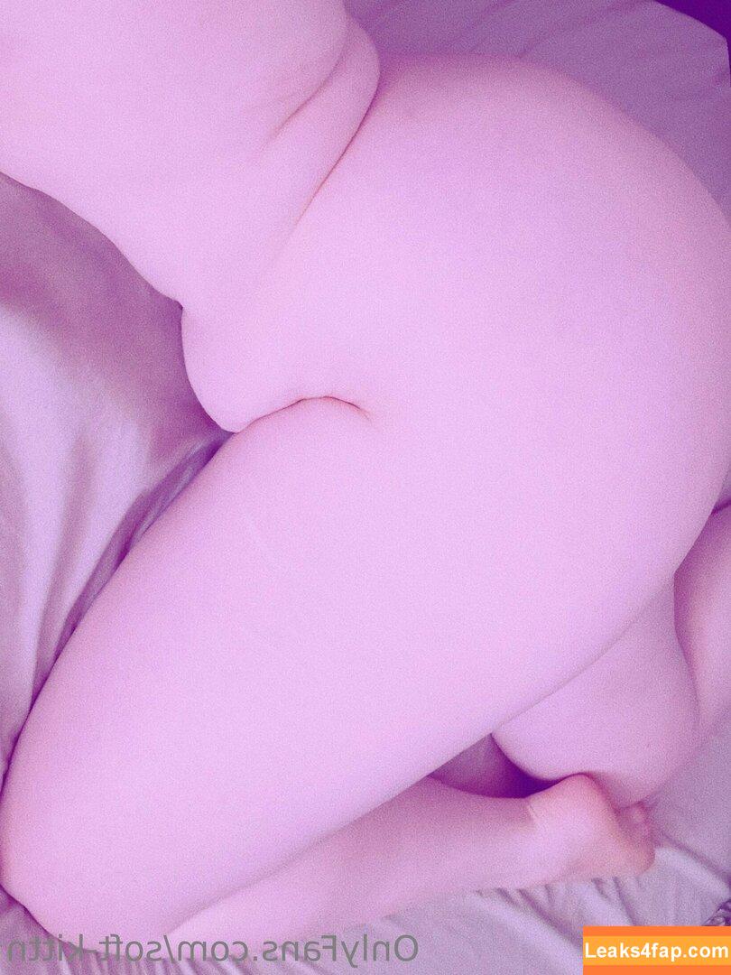 soft-kittn / Soft.kittn / soft_kittn leaked photo photo #0043