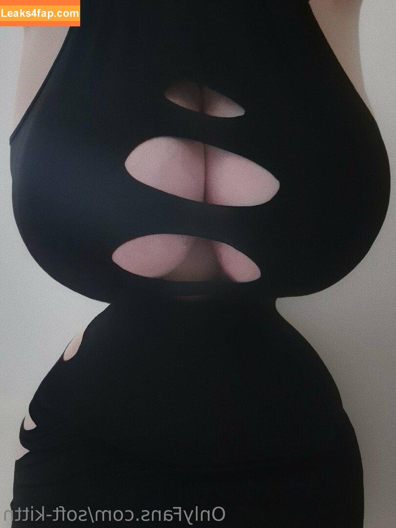 soft-kittn / Soft.kittn / soft_kittn leaked photo photo #0092