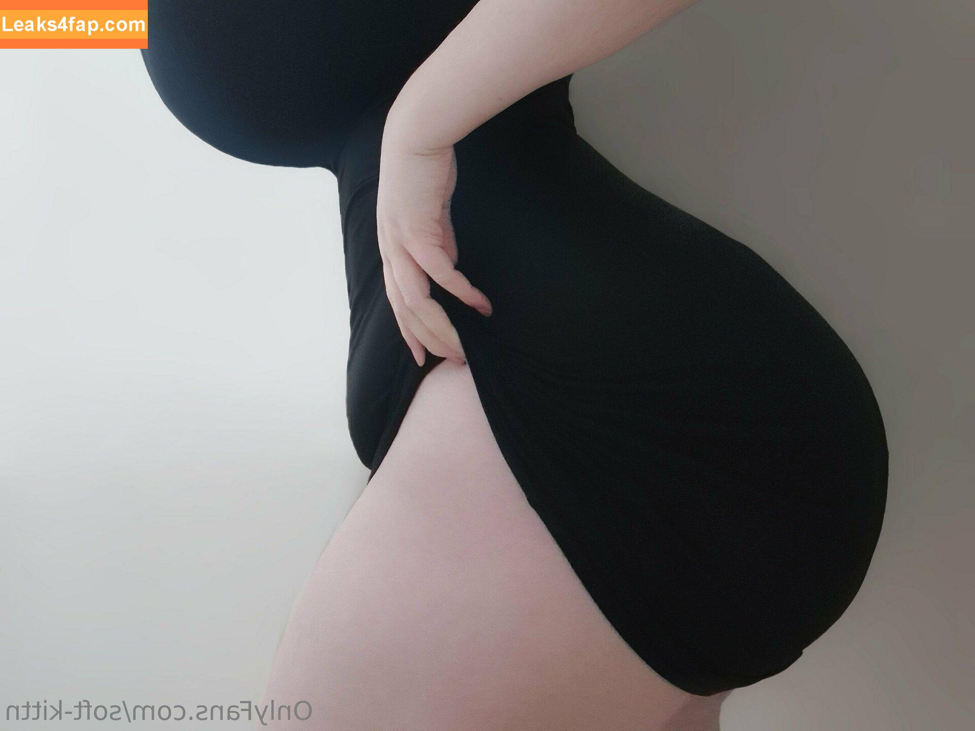 soft-kittn / Soft.kittn / soft_kittn leaked photo photo #0093