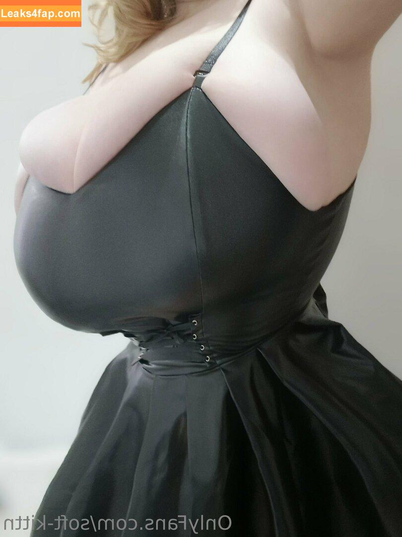 soft-kittn / Soft.kittn / soft_kittn leaked photo photo #0103