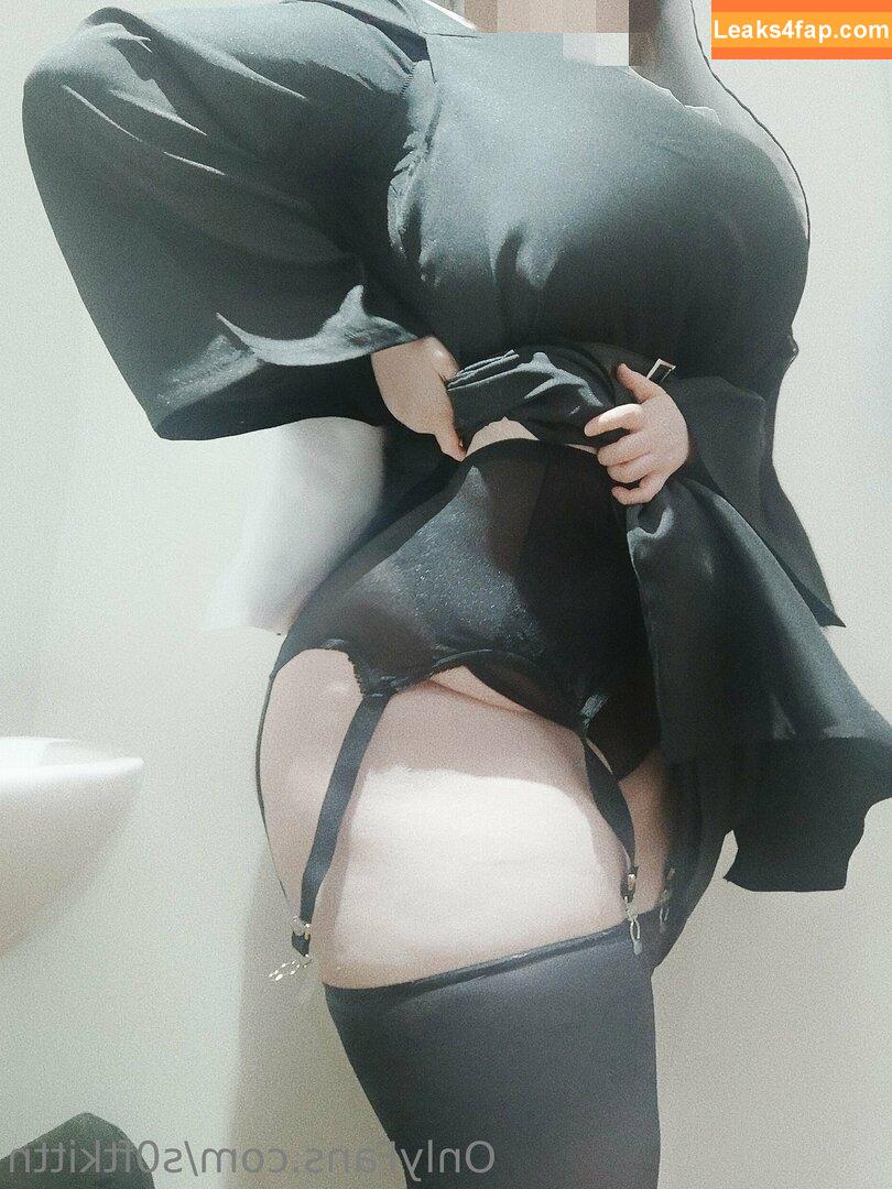 soft-kittn / Soft.kittn / soft_kittn leaked photo photo #0163