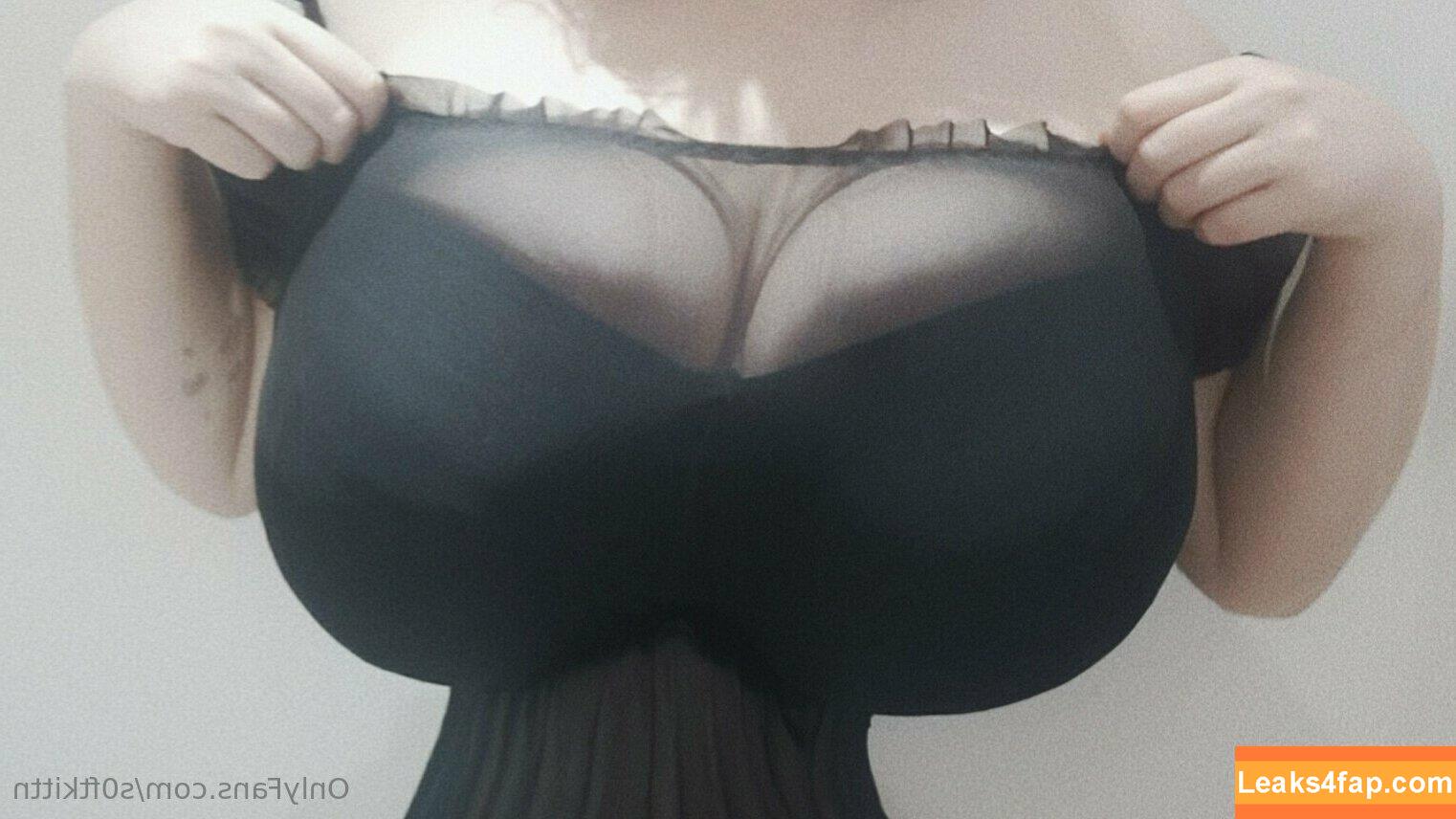 soft-kittn / Soft.kittn / soft_kittn leaked photo photo #0167