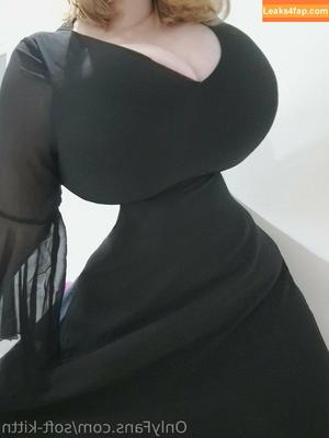 soft-kittn photo #0014