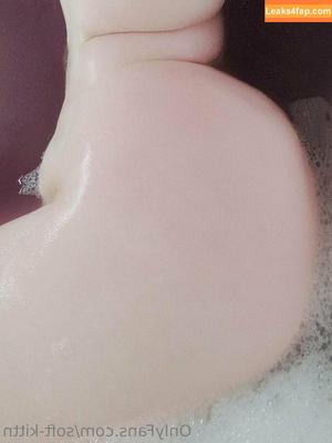 soft-kittn photo #0086