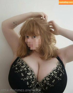 soft-kittn photo #0108