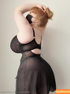 soft-kittn фото #0635