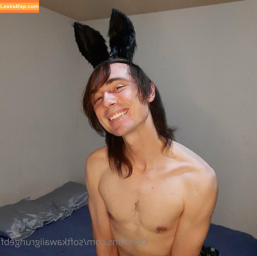 softkawaiifemboy /  leaked photo photo #0005