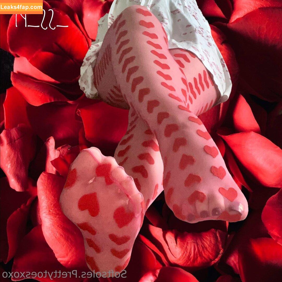 softsoles.prettytoesxoxo /  leaked photo photo #0047