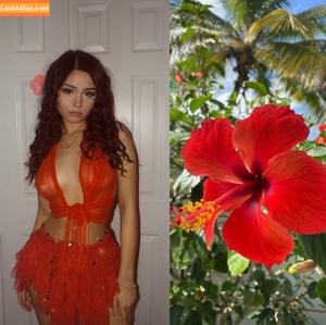 Sohanna Ricci photo #0034