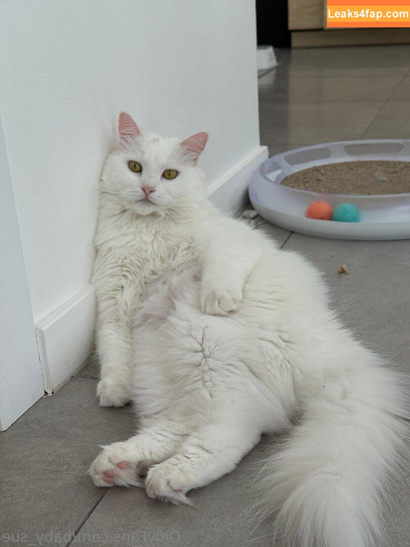 solazolafree / solazola_live слитое фото фото #0025