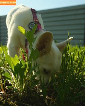 Solomia Maievska photo #1717